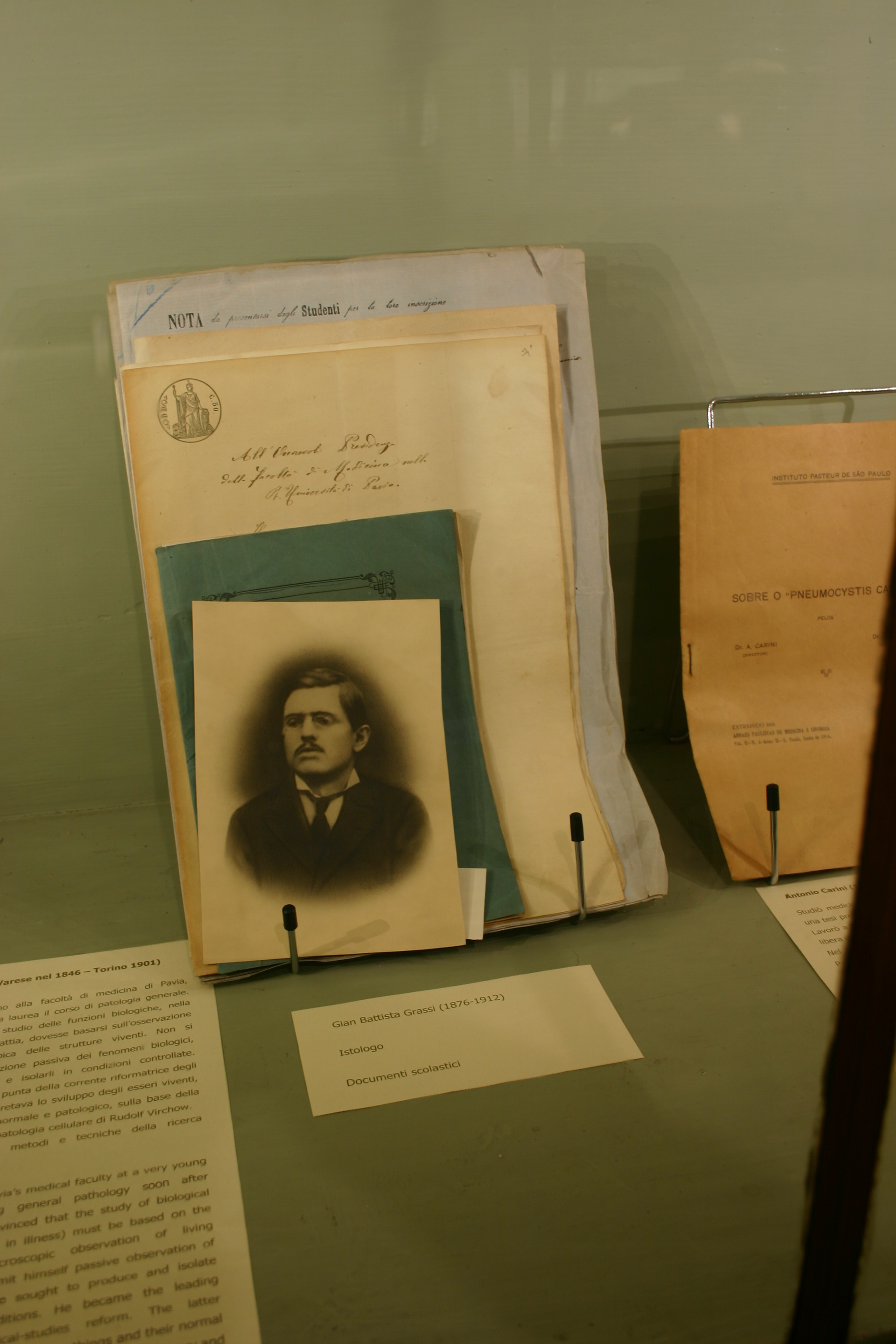 Giovan Battista Grassi's academic documents, Museo per la Storia dell'Università, Pavia (3).JPG